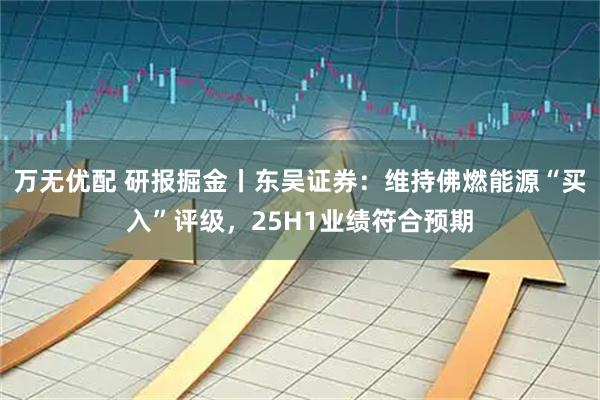 万无优配 研报掘金丨东吴证券：维持佛燃能源“买入”评级，25H1业绩符合预期