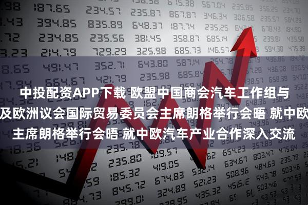 中投配资APP下载 欧盟中国商会汽车工作组与欧委会谢夫乔维奇内阁及欧洲议会国际贸易委员会主席朗格举行会晤 就中欧汽车产业合作深入交流