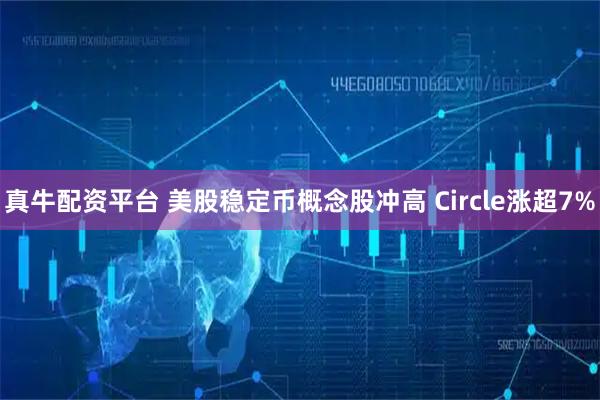 真牛配资平台 美股稳定币概念股冲高 Circle涨超7%