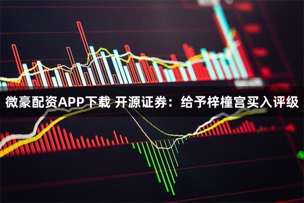 微豪配资APP下载 开源证券：给予梓橦宫买入评级