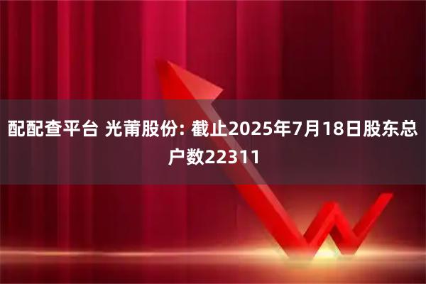 配配查平台 光莆股份: 截止2025年7月18日股东总户数22311