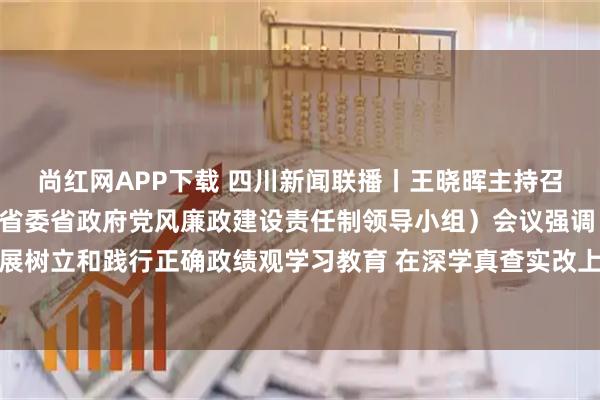 尚红网APP下载 四川新闻联播丨王晓晖主持召开省委党建领导小组（省委省政府党风廉政建设责任制领导小组）会议强调 扎实开展树立和践行正确政绩观学习教育 在深学真查实改上下功夫见成效 施小琳于立军出席
